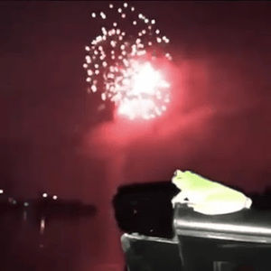 Meet your Posher, Adrian